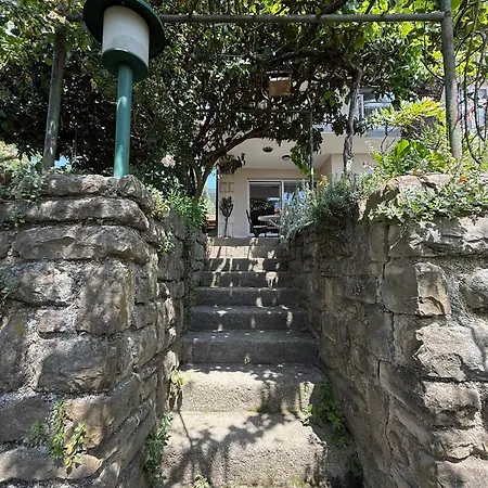 Pinia アパート *