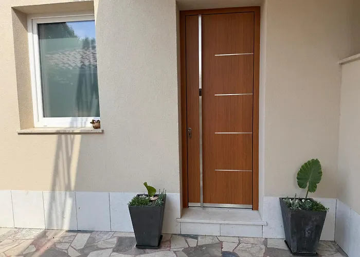 Pinia בפורטורוז