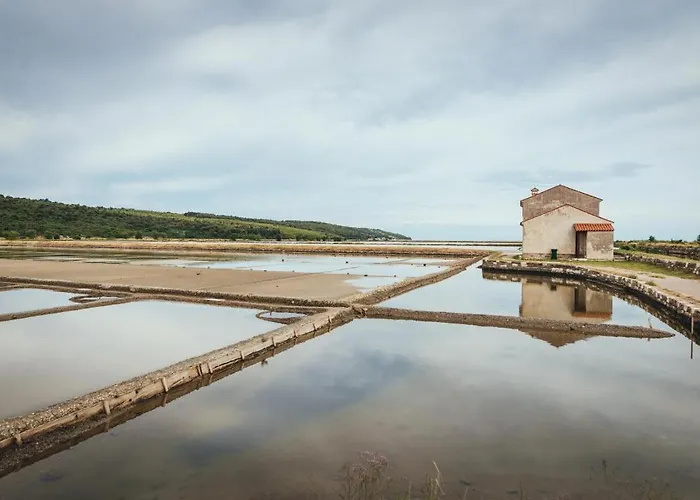 Pinia アパート *